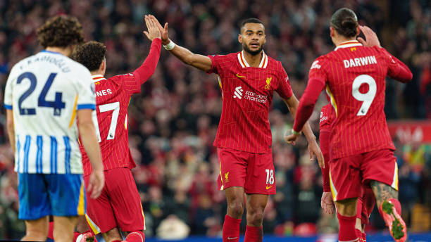 快立足并成 快立足并成