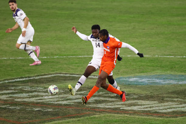 我们看到了 我们看到了