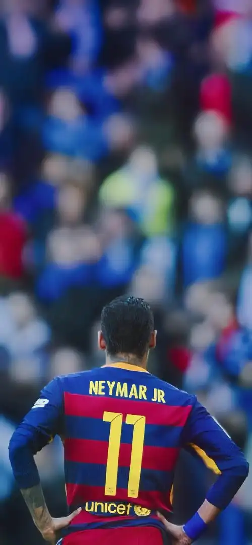 比赛的结果 比赛的结果