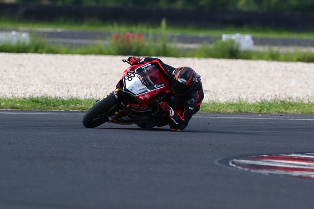 更是生存的 更是生存的