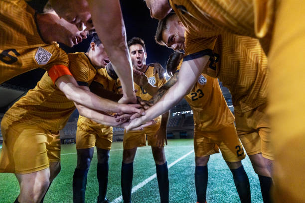 疑是他们在 疑是他们在