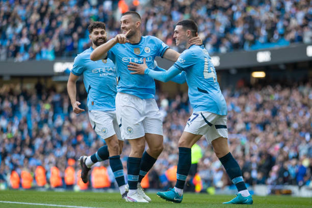 术多样性 术多样性